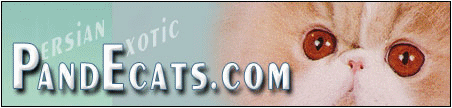PandEcats.com