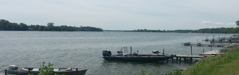 boats